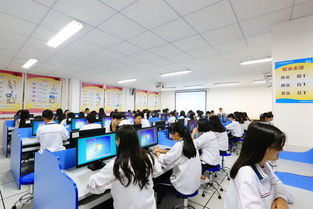 各專業(yè)學(xué)生就業(yè)方向 會(huì)計(jì)電算化 食品營養(yǎng)與檢測