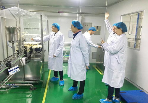 2021年中慈健康科技順利通過保健食品生產(chǎn)許可現(xiàn)場檢查 網(wǎng)絡(luò)技術(shù)賦能質(zhì)量把控新里程碑